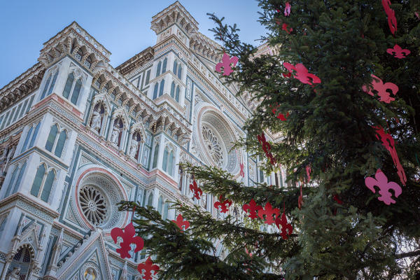 Florence, Tuscany, Italy. The front of the famous Giglio Fiorentino symbol