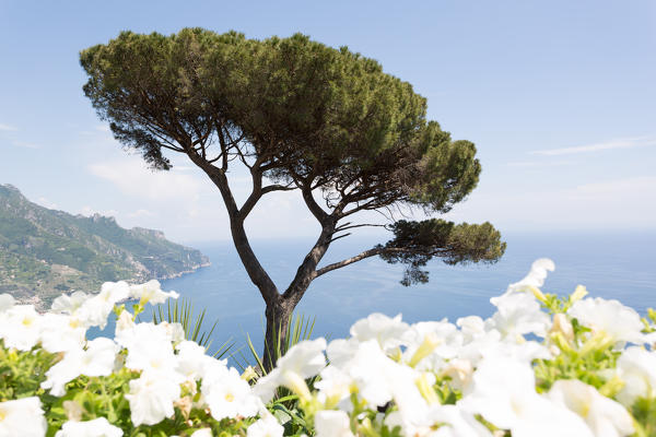 Ravello, Amalfi Coast, Sorrento, Italy. View of the coastline from Villa Rufolo