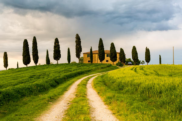 Val d'Orcia, Tuscany, Italy. A lonely farmhouse with cypress trees standing in line in foreground.