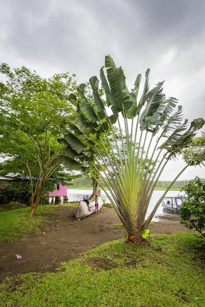 Tortuguero National Park, Costa Rica, view of the town from the canals.