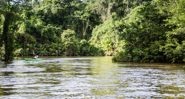 Costa Rica, Tortuguero National Park.