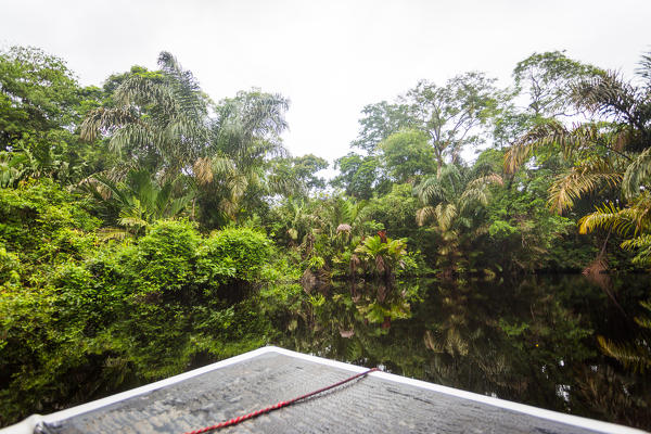 Costa Rica, Tortuguero National Park.