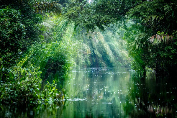 Costa Rica, Tortuguero National Park.