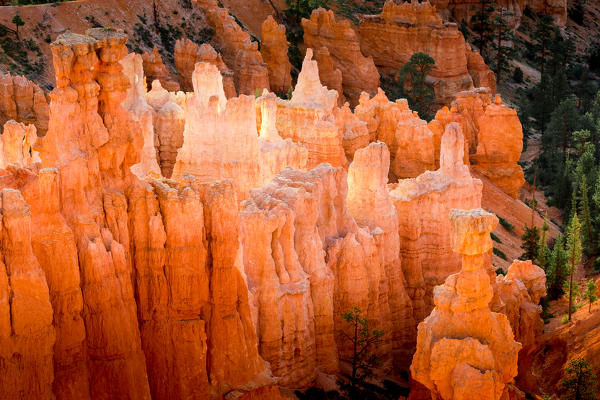 Sunrise at Bryce Canyon National Park, Utah, USA. From Sunset Point