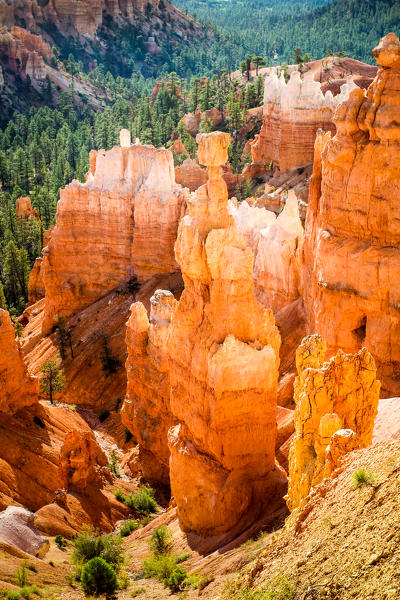 Sunrise at Bryce Canyon National Park, Utah, USA. From Sunset Point