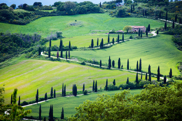 Tuscany, Italy. Val d'Orcia landscape in springtime