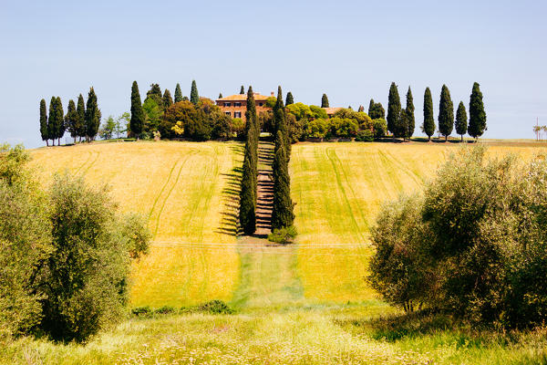 Val d'Orcia, Tuscany, Italy. A lonely farmhouse with cypress and olive trees, rolling hills.