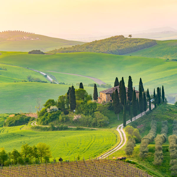 Val d'Orcia, Tuscany, Italy. A lonely farmhouse with cypress and olive trees, rolling hills.
