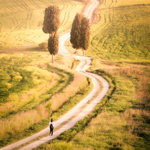 Pienza, Val d'Orcia, Tuscany. Pathway in the countryside
