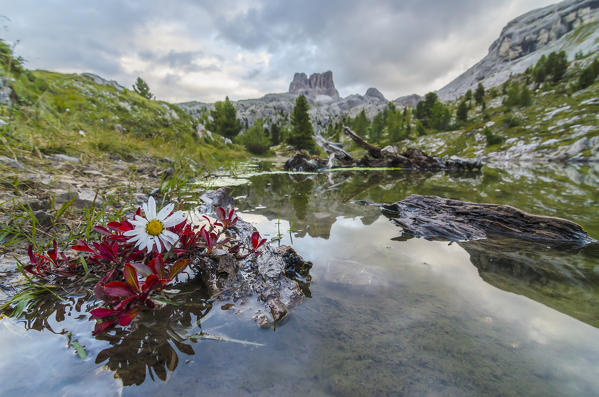 Averau mount, Lago di Limedes, Dolomites, Veneto, Italy. Averau is reflected in Limedes lake
