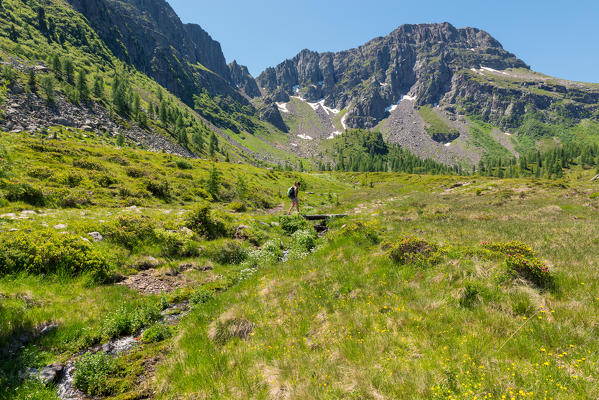 Italy, Trentino Alto Adige, San Pellegrino pass, Hiker on his way to the Cimon di Bocche peack along the trial n.628 from the San Pellegrino pass.