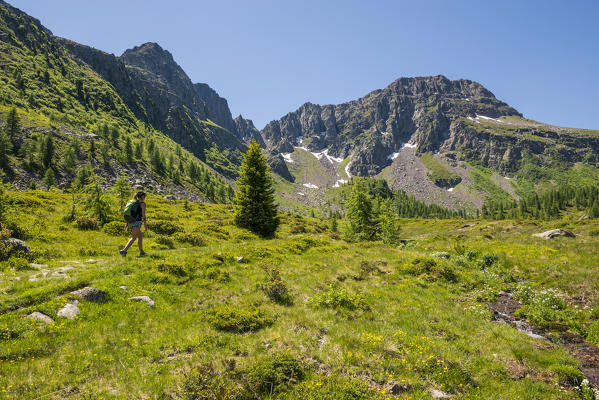 Italy, Trentino Alto Adige, San Pellegrino pass, Hiker on his way to the Cimon di Bocche peack along the trial n.628 from the San Pellegrino pass.