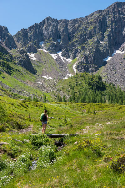 Italy, Trentino Alto Adige, San Pellegrino pass, Hiker on his way to the Cimon di Bocche peack along the trial n.628 from the San Pellegrino pass.