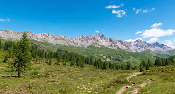 Italy, Trentino Alto Adige, San Pellegrino Pass, the landscape that can be seen from the path 628 to the cimon.