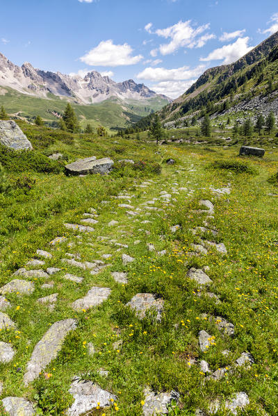 Italy, Trentino Alto Adige, San Pellegrino Pass, the landscape that can be seen from the path 628 to the cimon.