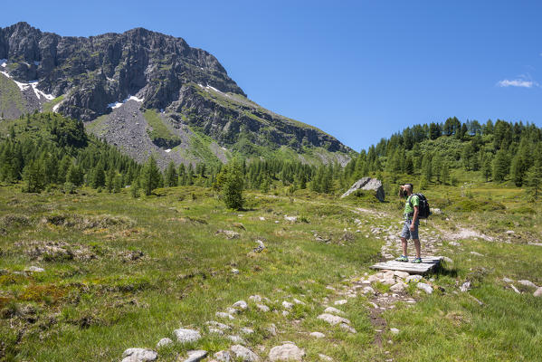 Italy, Trentino Alto Adige, San Pellegrino pass, Hiker on his way to the Cimon di Bocche peack along the trial n.628 from the San Pellegrino pass.