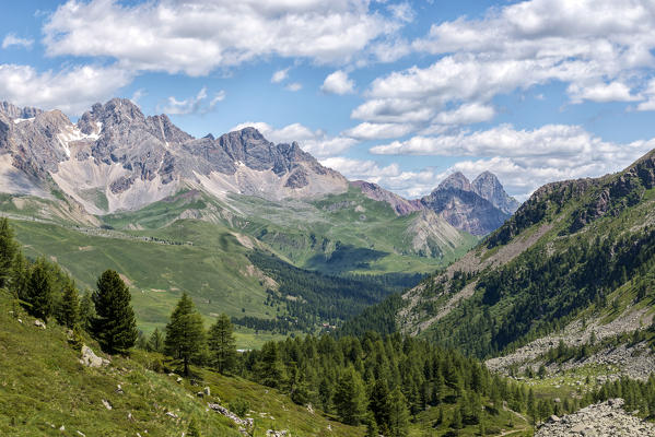 Italy, Trentino Alto Adige, San Pellegrino pass, Hiker on his way to the Cimon di Bocche peack along the trial n.628 from the San Pellegrino pass.