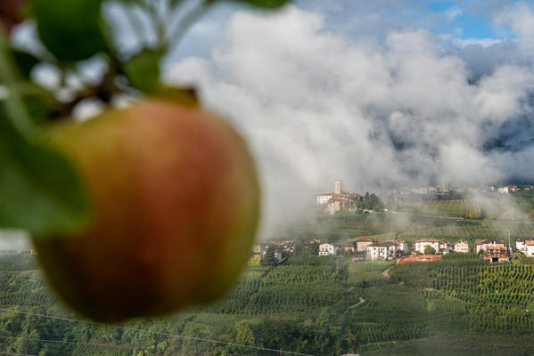 Italy, Trentino Alto Adige, apples from Non valley and background see Valer Castel