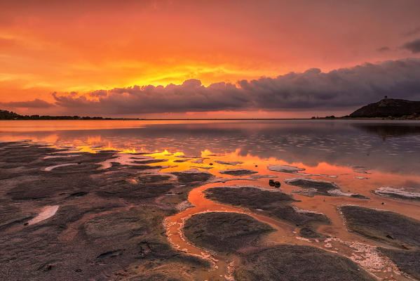 italy, Sardinia, Villasimius, dawn on Notteri pond..
