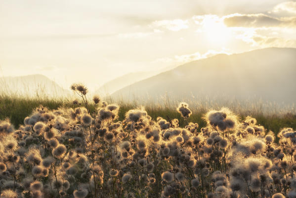 Italy, Trentino Alto Adige, prairies of Non valley in a autumn day.