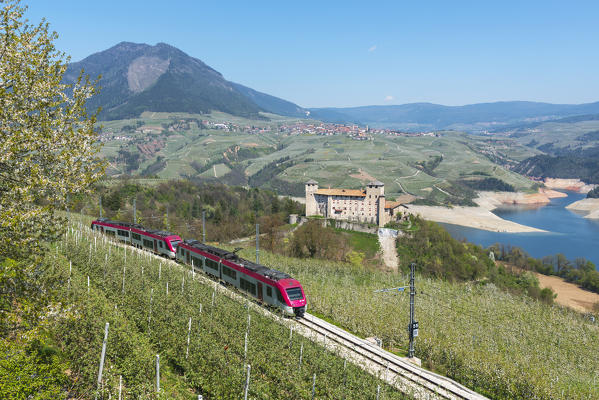 Italy, Trentino Alto Adige, the train of Non valley at the Cles castle.
