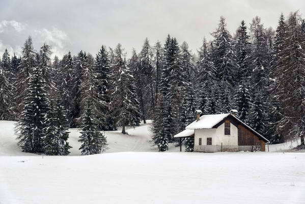 Italy, Trentino Alto Adige, Non valley, a tipical chalet in a winter day.
