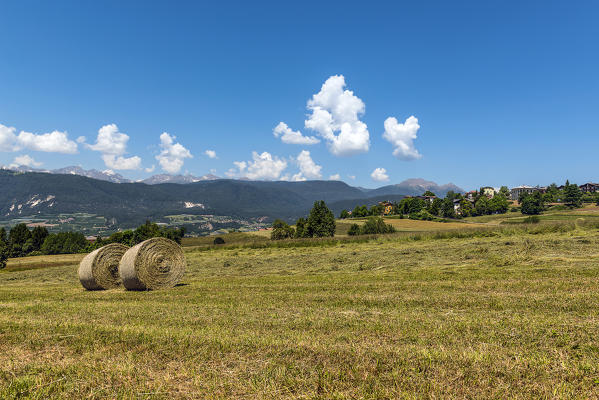 Italy, Trentino Alto Adige, Non valle, Hay balls near the Malosco village, ready to be taken by the farmers.