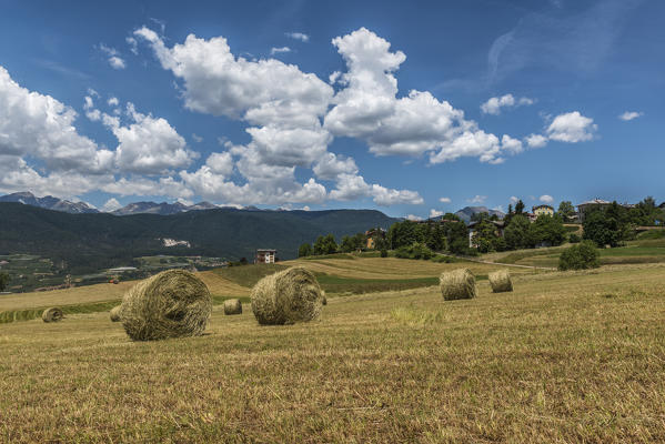 Italy, Trentino Alto Adige, Non valle, Hay balls near the Malosco village, ready to be taken by the farmers.