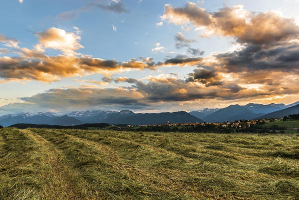 Italy, Trentino Alto Adige, sunset on the freshly cut meadows of the Non valley, in the background the group of the Brenta
