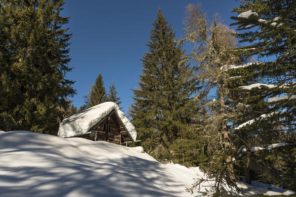 Italy, Trentino Alto Adige, Non valley, Snow on the roof of an hut in a winter marked by heavy snowfall.