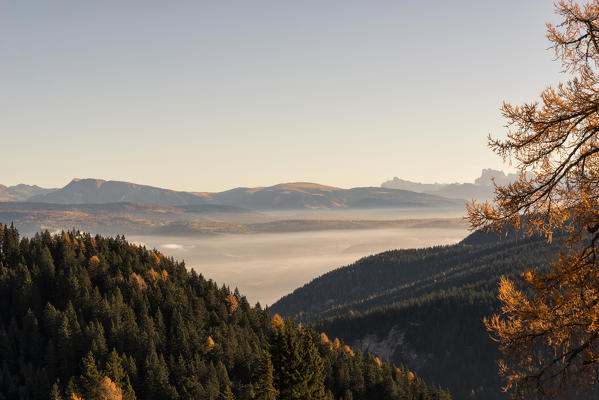 Italy, Trentino Alto Adige, Non valley, panoramic view from Luco mountain, in the background you see catinaccio.