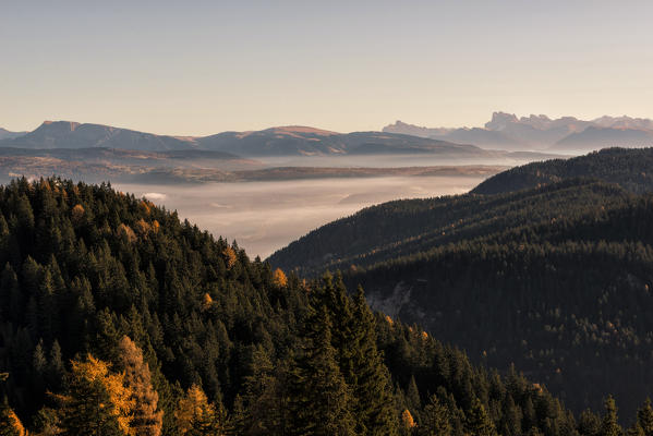 Italy, Trentino Alto Adige, Non valley, panoramic view from Luco mountain, in the background you see catinaccio.