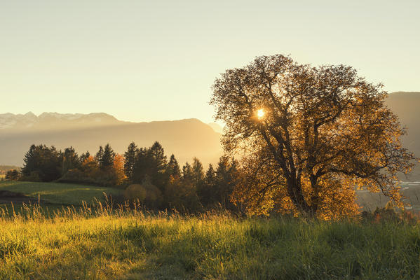Italy, Trentino Alto Adige, sunset on prairies of Non valley in a autumn day.