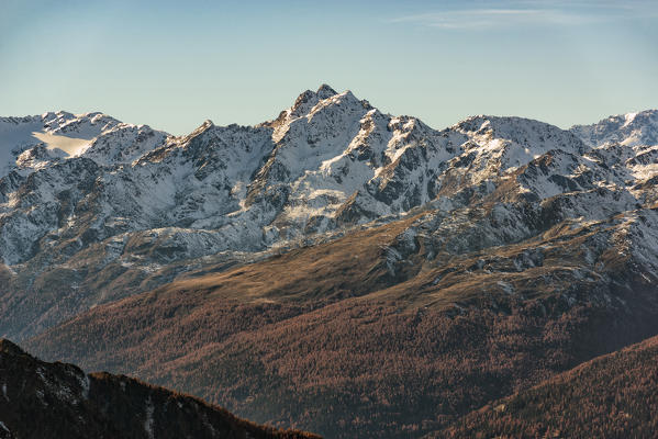 Italy, Trentino Alto Adige, Non valley, autumnal view from Luco mountain, you see Gioveretto Mount.