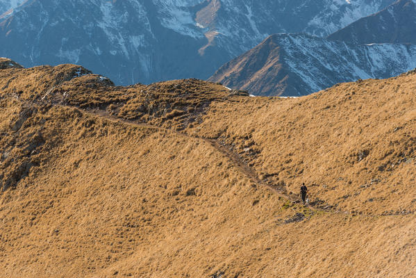 Italy, Trentino Alto Adige, Non valley, hiker with your dog on Luco Mount, in the background you see Brenta group.
