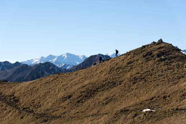 Italy, Trentino Alto Adige, Non valley, two hikers with yours dog on Luco Mount, in the background you see Brenta group.