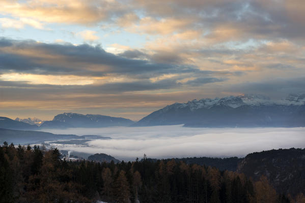 sunrise on the Non valley covered by fog, Trentino Alto Adige, Italy.