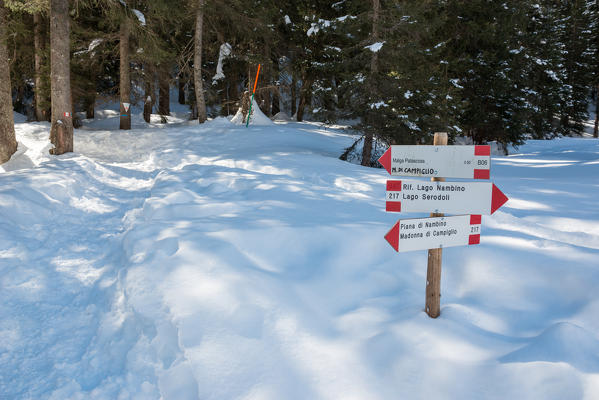 Europe, Italy, trentino Alto Adige, madonna di Campiglio, natural park Adamello Brenta. Signposting CAI / SAT along the trial n.217 from Nambino lake.