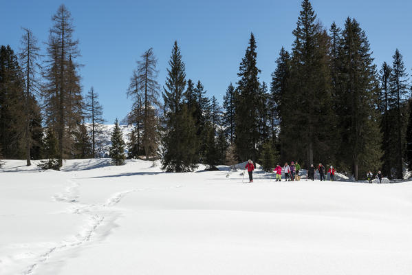 Hikers with snowshoe adventure on the snow towards nambino lake, natural park Adamello Brenta, Madonna di Campiglio, Trentino Alto Adige, Italy, Europe.