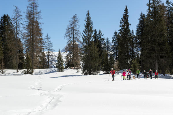 Hikers with snowshoe adventure on the snow towards nambino lake, natural park Adamello Brenta, Madonna di Campiglio, Trentino Alto Adige, Italy, Europe.