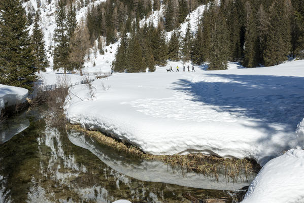 Hikers with snowshoe adventure on the snow towards nambino lake, natural park Adamello Brenta, Madonna di Campiglio, Trentino Alto Adige, Italy, Europe.