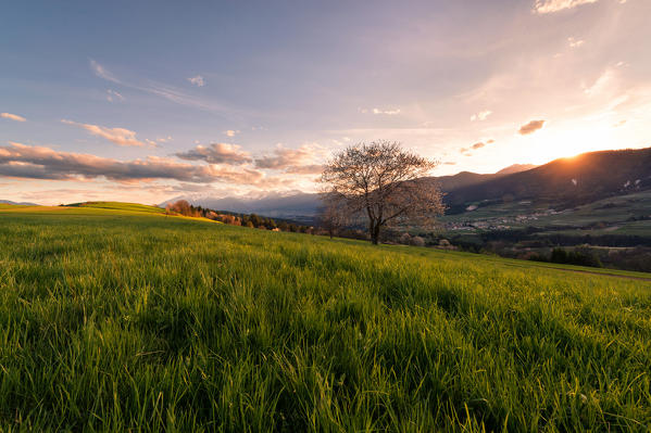 Italy, Trentino Alto Adige, sunset on the prairies of Non valley on a spring day.