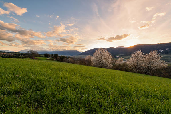 Italy, Trentino Alto Adige, sunset on the prairies of Non valley on a spring day.