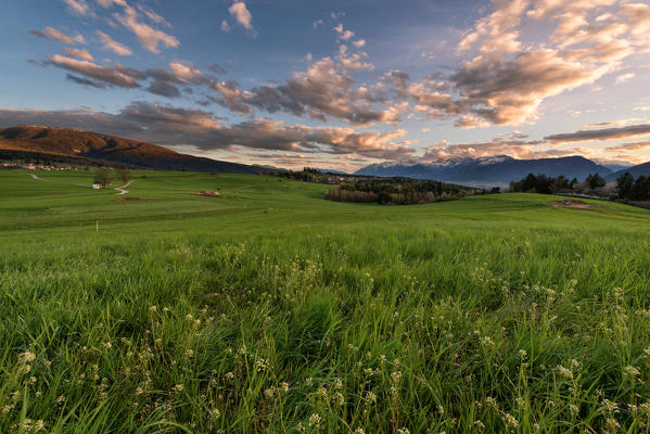 Italy, Trentino Alto Adige, sunset on the prairies of Non valley on a spring day.