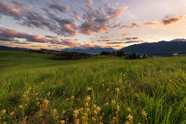 Italy, Trentino Alto Adige, sunset on the prairies of Non valley on a spring day.