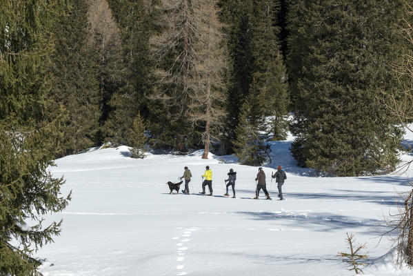 Hikers with snowshoe adventure on the snow towards nambino lake, natural park Adamello Brenta, Madonna di Campiglio, Trentino Alto Adige, Italy, Europe.