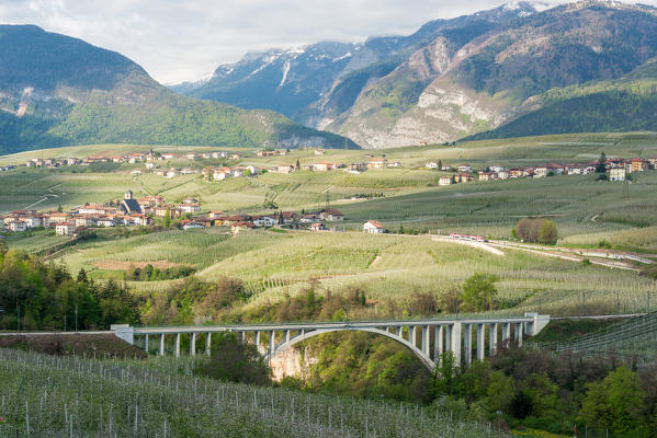 Italy, Trentino Alto Adige, apple flowering of Non valley and S. Giustina bridge.