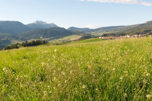 Italy, Trentino Alto Adige, sunset on the prairies of Non valley on a spring day.
