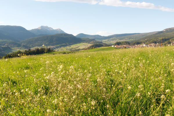 Italy, Trentino Alto Adige, sunset on the prairies of Non valley on a spring day.