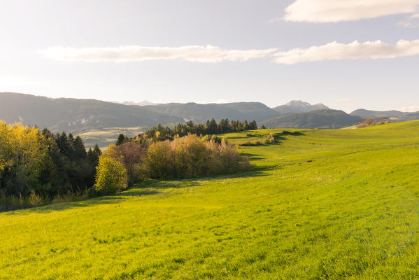 Italy, Trentino Alto Adige, sunset on the prairies of Non valley on a spring day.